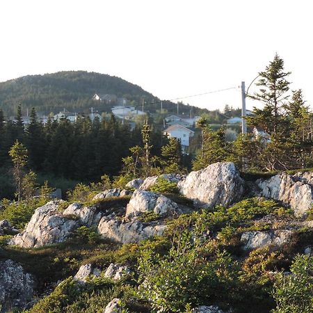 North 99 Motel Twillingate Exterior foto